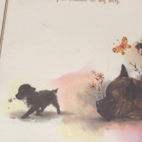 NWT Reversible Pet Bowl Dog food or water Plasticized Floor Placemat! - Picture 12 of 16